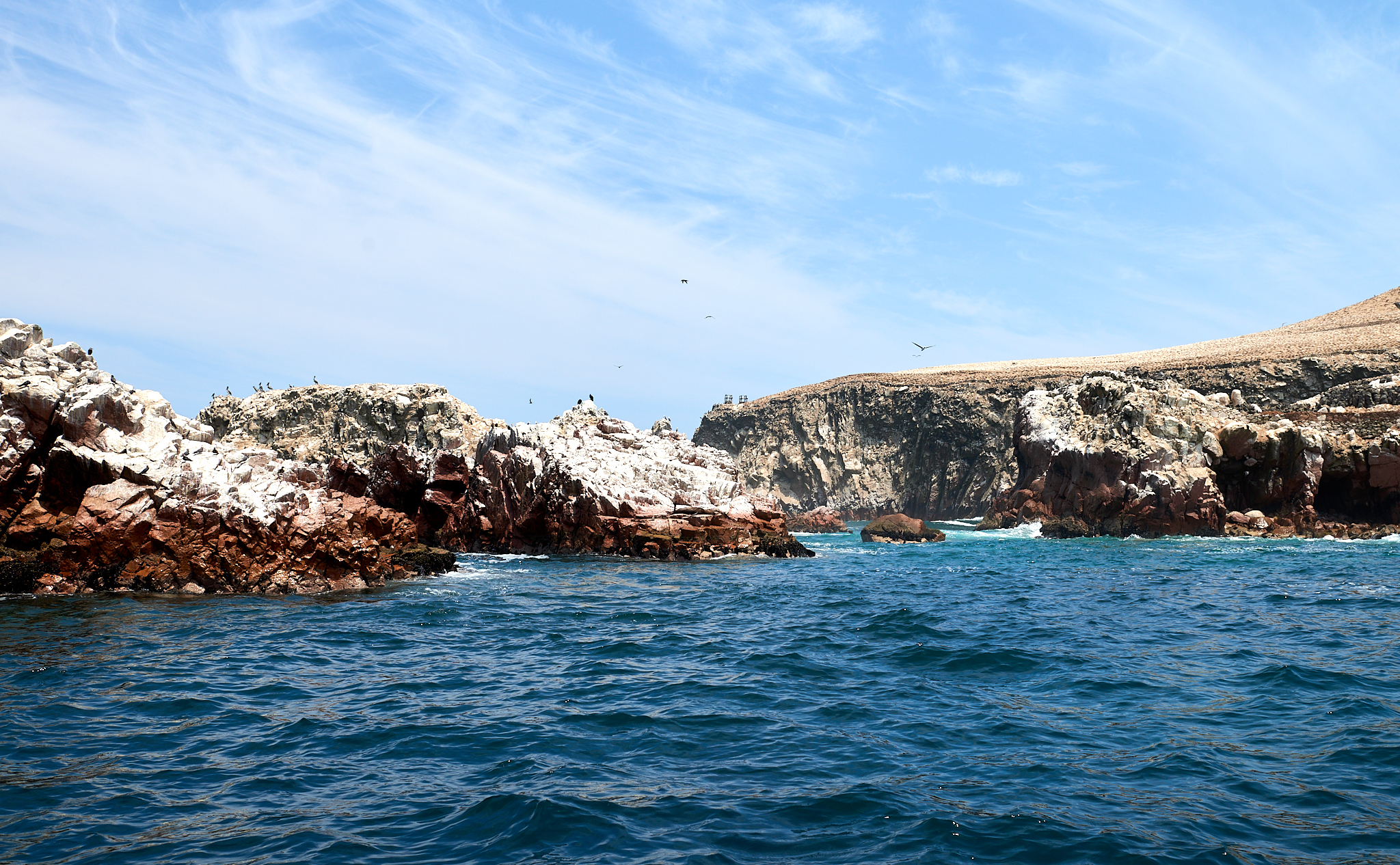 20200304 200 [페루] 바예스타섬